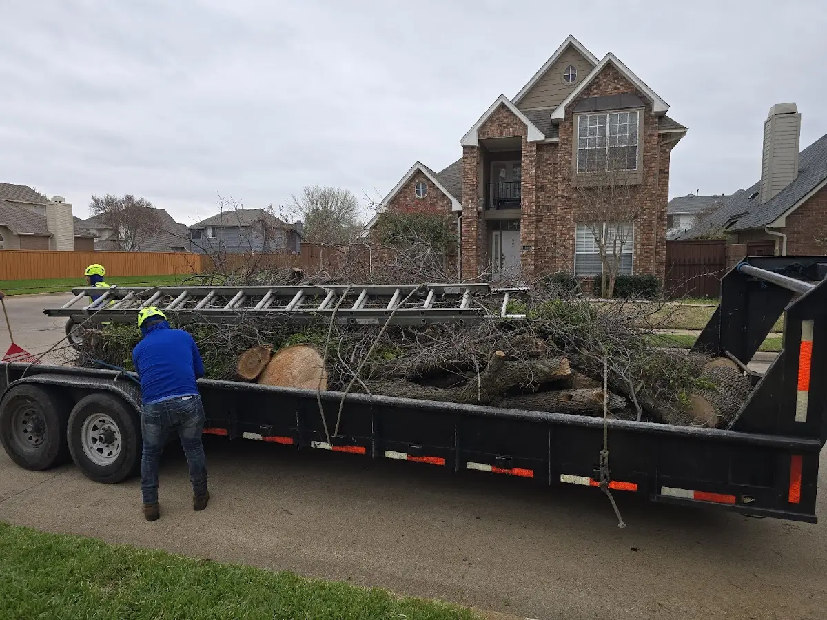 Expert Tree Pest Control with proper safety equipment in Greens Fork